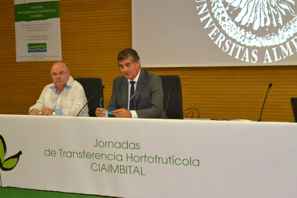 FOTO 5 JORNADA CIAIMBITAL