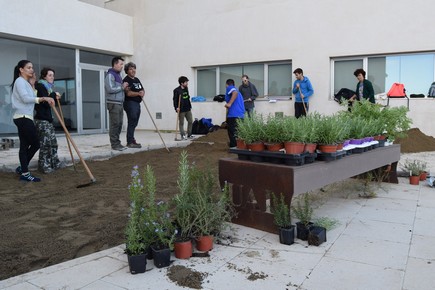 FOTO 3 PLANTACIÓN JARDÍN DE AROMÁTICAS