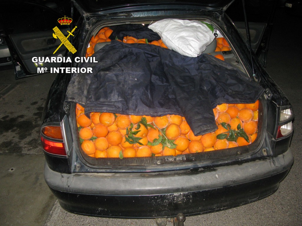NARANJAS_01