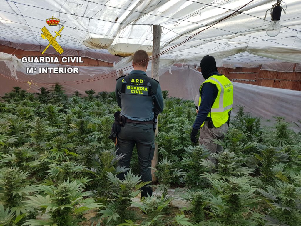 MARIHUANA_01