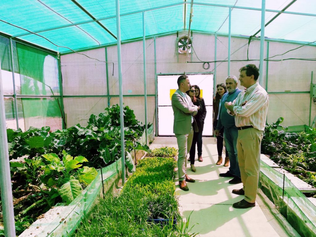 Visita SAT Los Guiraos caracoles 2