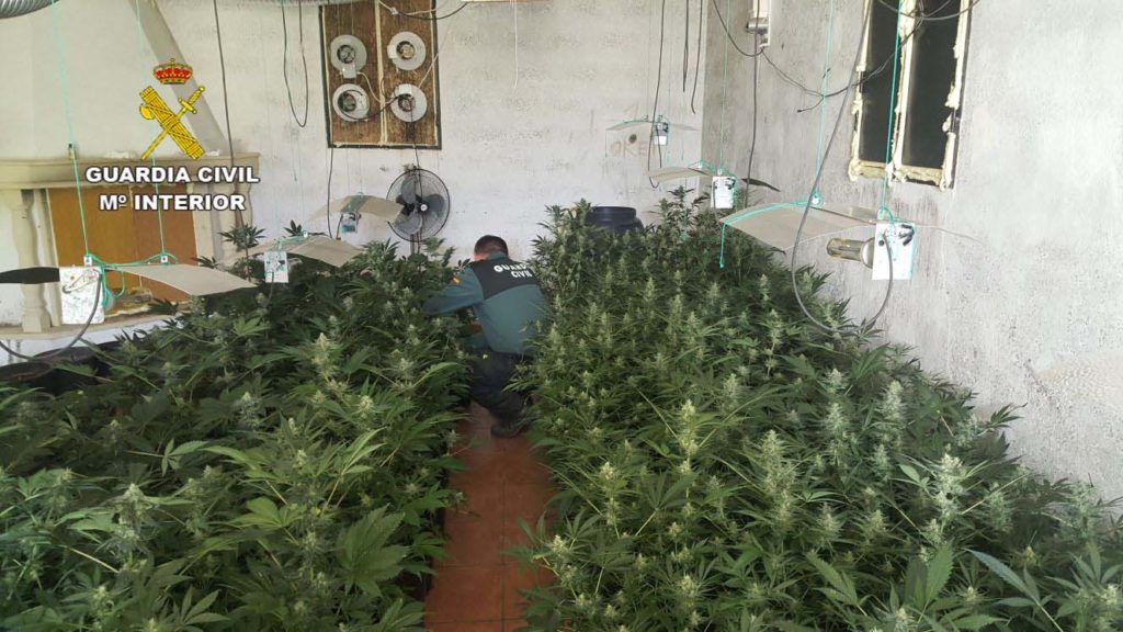 MARIHUANA_02