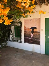 INAUGURACIÓN RODALQUILARTE 1