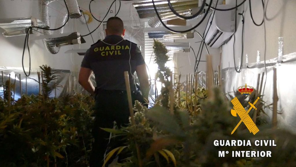 MARIHUANA_04