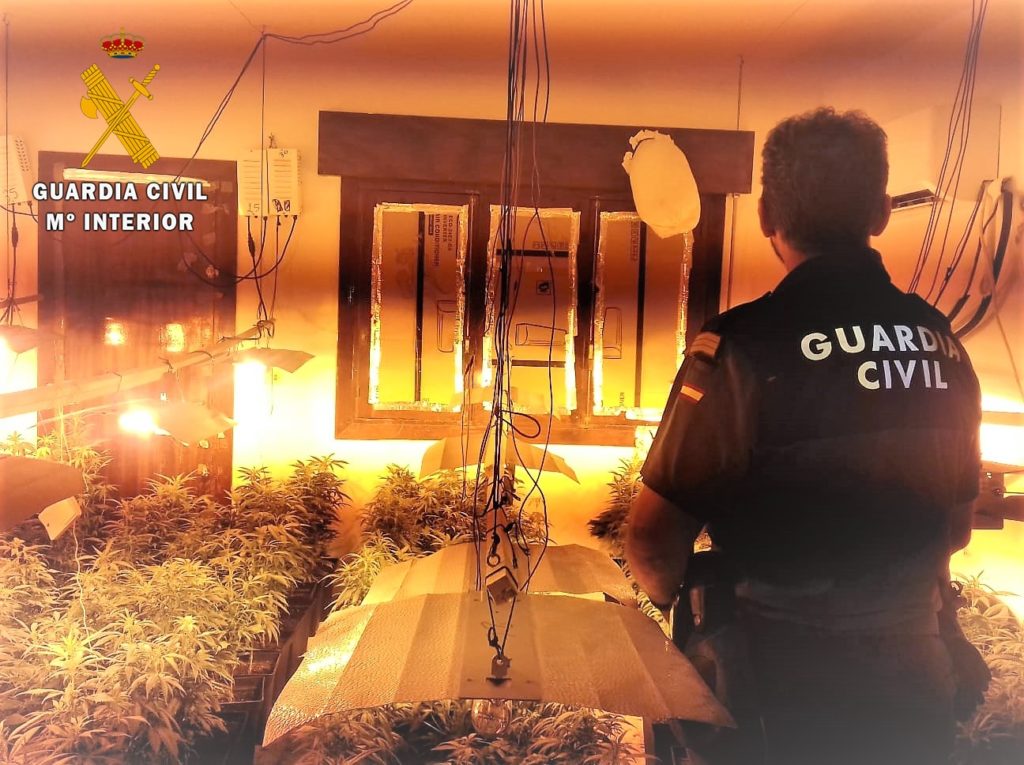Marihuana_roquetas (1)