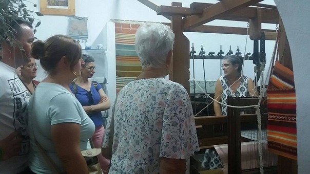 VISITAS GUIADAS VILLA 1