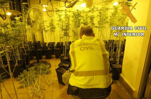 MARIHUANA_01