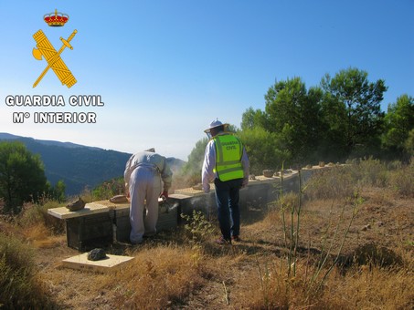 hurto_colmenas_felix (2)