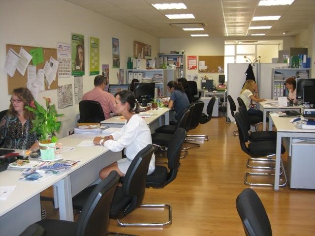 Imagen servicios AE