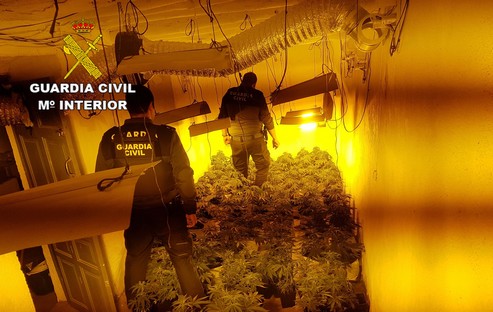 MARIHUANA_01