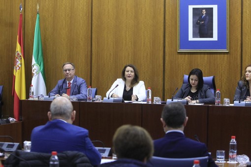 190214_Comparecencia Carmen Crespo 1