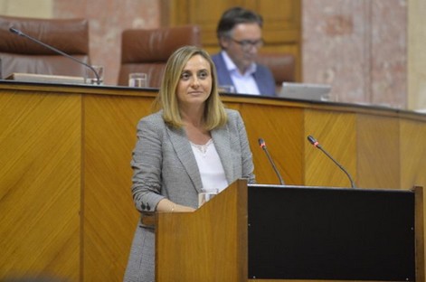 Parlamento 20190529
