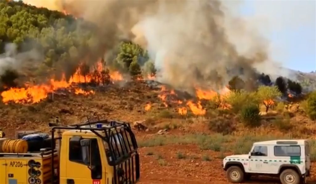 Fuego Terque