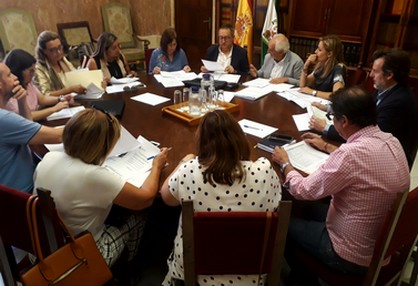 Reunión Comisiónn PFEA julio 2019