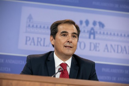 Sin título 16
