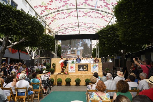 OKINAUGURACION FERIA MEDIODIA20