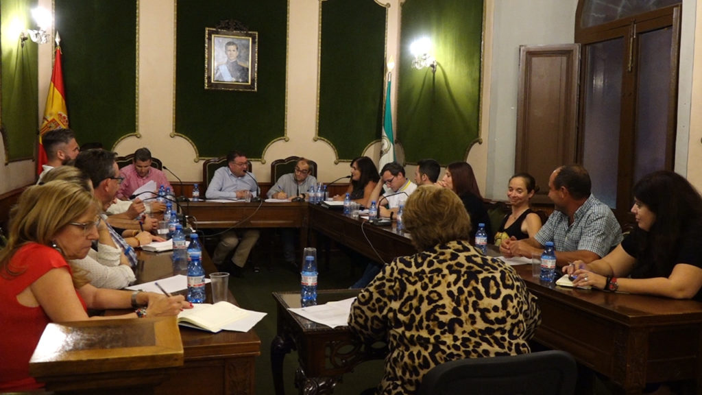 pleno octubre berja 2019