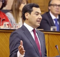 Sin título 16