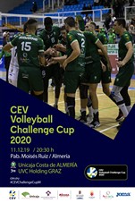CEVCHC_Poster_Template_1200x1800_PMS_2020_03b
