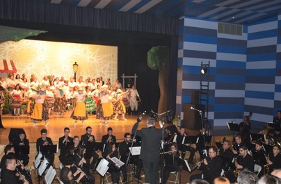 ACTUACIÓN DE LA BANDA (ARCHIVO)