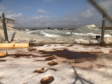 DAÑOS CAUSADOS EN NÍJAR POR LA BORRASCA GLORIA