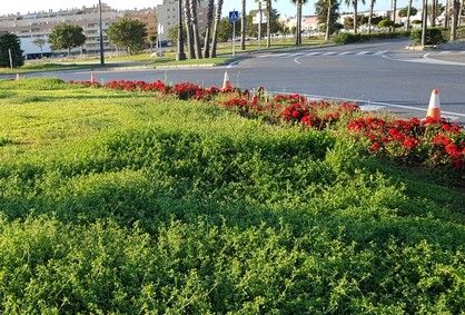 WhatsApp Image 2020-04-28 at 13.30.12