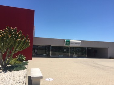 200527 HAR Toyo Plan normalización actividad (4)_resized_20200527_031350333