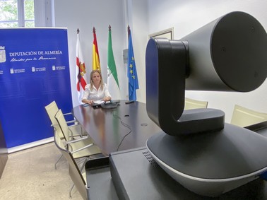 Reunión telemática de María Luisa Teletrabajo Deporte