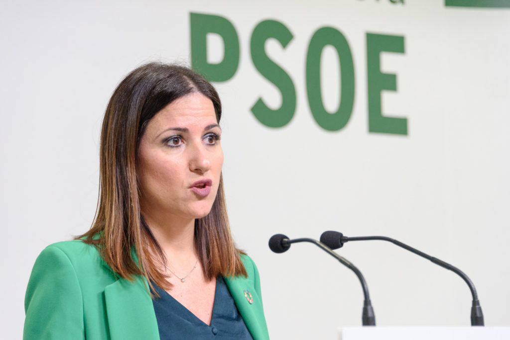 200305 Foto PSOE Inés Plaza en rueda de prensa