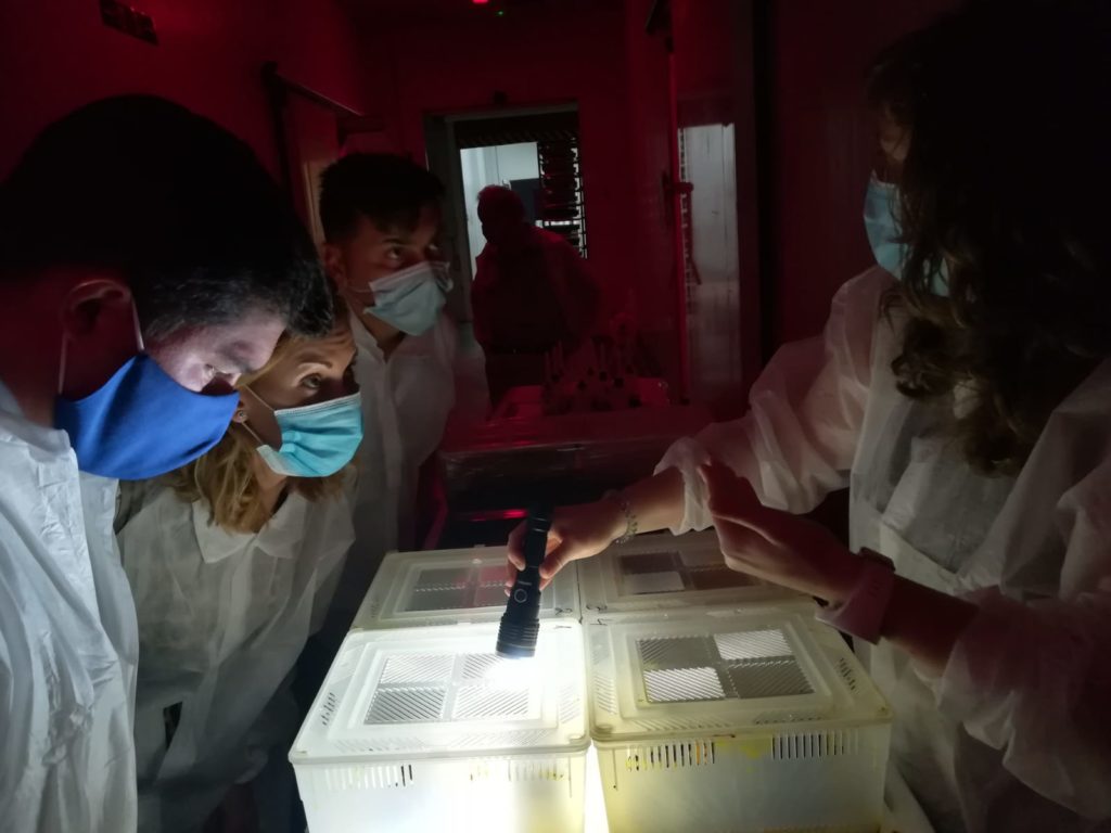 27072020 Enrique Moreno y Merecedes López 4