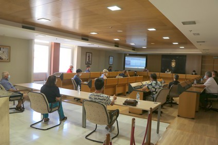 200805 comisión oferta complementaria 2