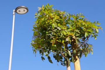 200806 Junta Gobierno (2)