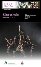 Sinestesia Adra web