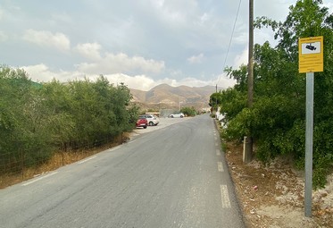 instalacion videovigilancia contenedores berja