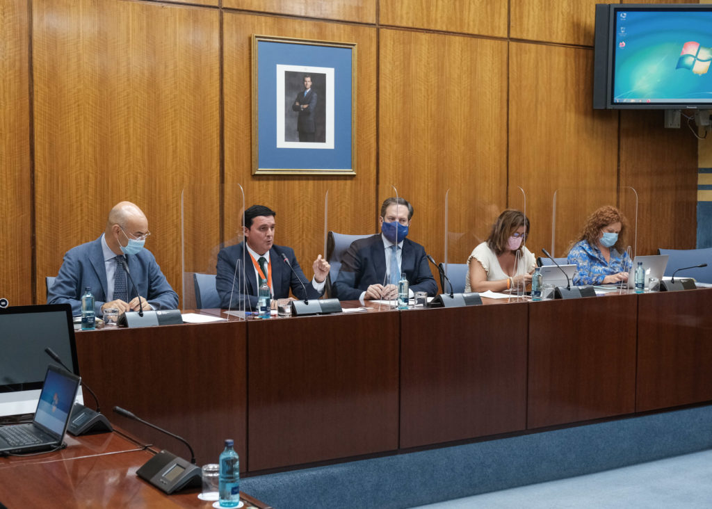 Comparecencia Javier A. García en Parlamento (3)