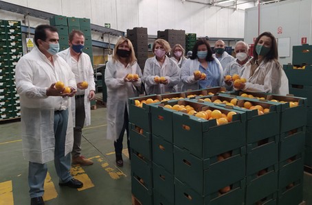 VISITA SAT CÍTRICOS ANDARAX 1