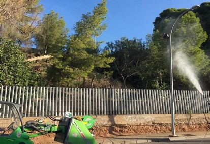 procesionaria parque alpujarra Berja