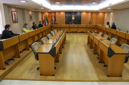 201103 Reunión Aliseda (2)