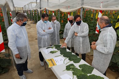 201111 Visita Instalaciones Nunhems 2