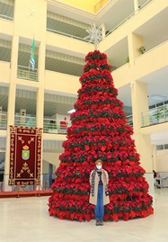 201127 Julia Ibáñez árbol pascueros