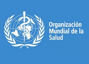 Sin título 8