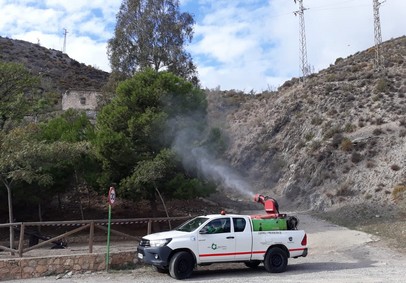 201201 El Ayuntamiento realiza trabajos de prevención contra la procesionaria en colegios y zonas urbanas (1)