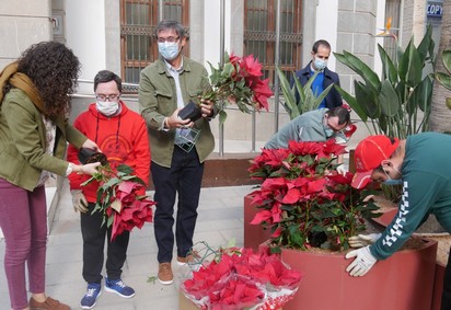 201203 Manuel Cortés destaca la importancia de avanzar en la inserción laboral de personas con diversidad funcional