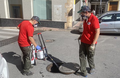 control de plagas Berja Plaza de la Constitucioìn