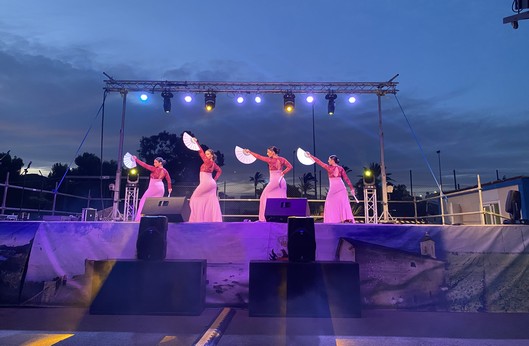 V Velada Flamenca en San Juan de los Terreros