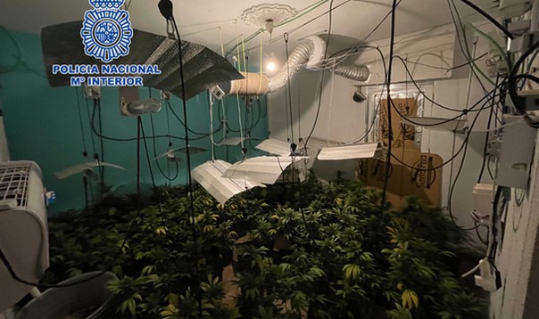 La imagen tiene un atributo ALT vacío; su nombre de archivo es IMG_6481.jpg