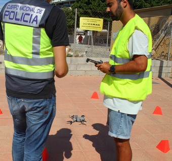 La imagen tiene un atributo ALT vacío; su nombre de archivo es IMG_8837.jpg