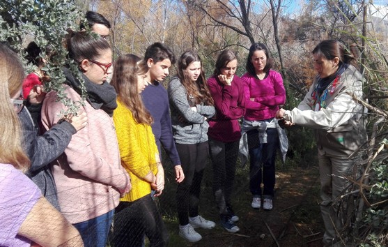 La imagen tiene un atributo ALT vacío; su nombre de archivo es img_20170207_113450.jpg