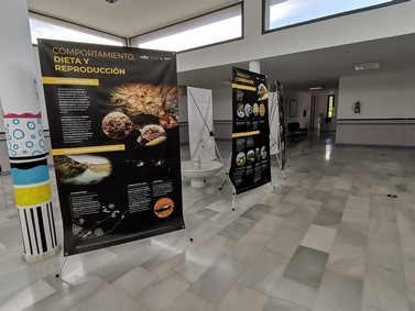 Exposición de murciélagos en El Cuartel de San Juan de los Terreros