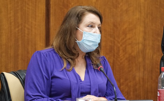 211115_Carmen Crespo comisión presupuestos 2022